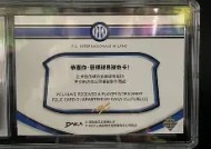 jnh-战术变革展现过人风采优势展示蓝黑军团风貌的简单介绍