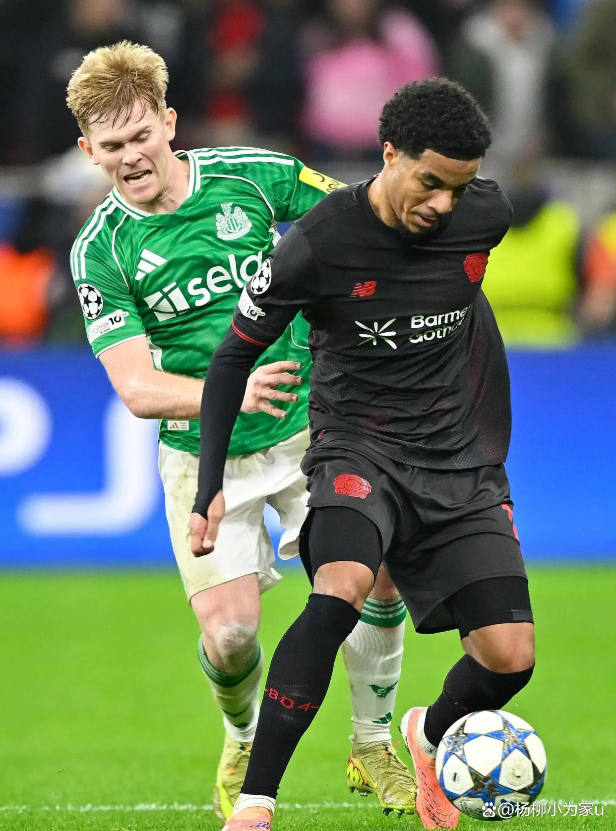 勒沃库森欧联 勒沃库森欧联